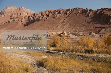 Autumn tint of Huyang trees at Shengjinkou,Turpan,Xinjiang,China