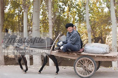 Uyghur couple sur panier d'âne dans la campagne de Kuche (Kuqa), Xinjiang, Chine