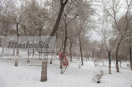 Hongshan Park in snow,Wulumuqi (Urumqi),Xinjiang,China