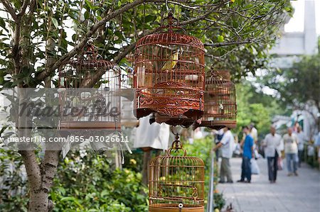 Bird Street, Mongkok, Hong Kong