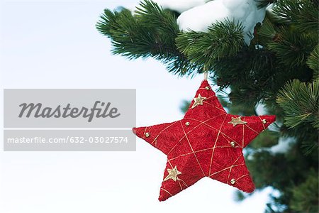 Star Christmas ornament hanging from snow-covered branch
