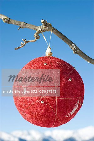 Christmas ornament hanging from branch