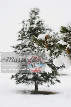 Christmas ornament hanging from snow frosted branch