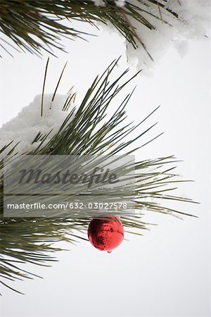 Noël ornement suspendu à une branche couverte de neige