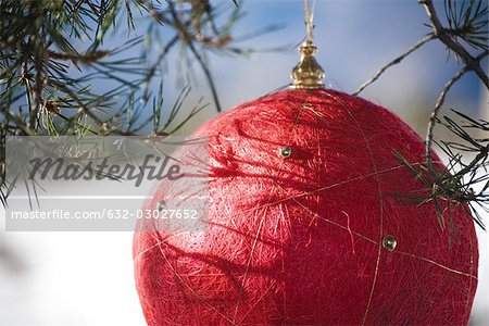 Ornement de Noël rouge accroché à une branche à feuilles persistantes, recadrée