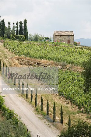 Vue typique du paysage toscan, Le Crète (la Crète), Toscane, Italie, Europe