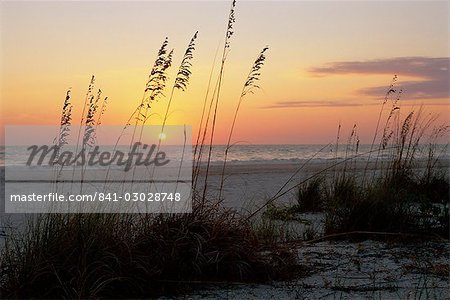 Sunset, Gulf Coast, Longboat Key, Anna Maria Island, Beach, Florida, United States of America