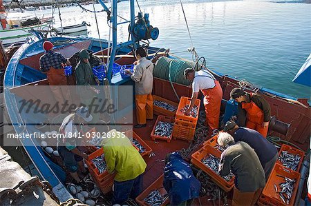 Pêche bateaux, Lagos, Algarve, Portugal, Europe