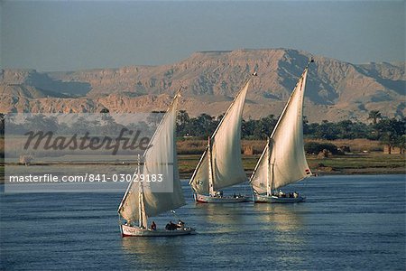 Three feluccas sailing on the River Nile, Egypt, North Africa, Africa