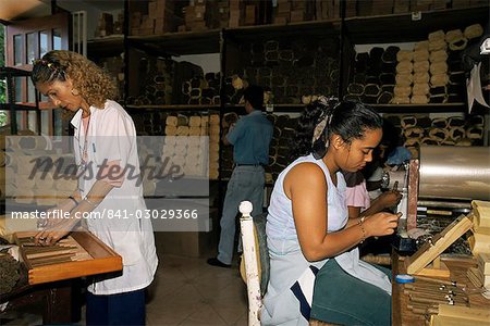 Labelling and wrapping cigars, Santo Domingo, Dominican Republic, West Indies, Central America