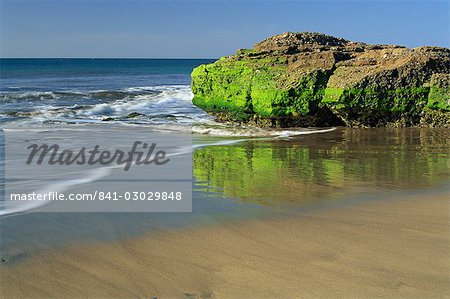 Las Maspalomas, Gran Canaria, Canary Islands, Spain, Atlantic, Europe