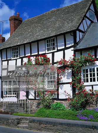 Roses round the door of timber framed cottage, Pembridge, Herefordshire, England, United Kingdom, Europe