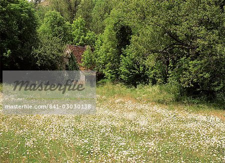 Paysage près de Cahors, Lot, Midi Pyrénées, France, Europe