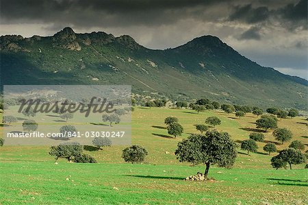 Landschaft in der Nähe von Guadalupe, Extremadura, Spanien, Europa
