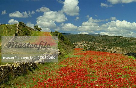 Landschaft in der Nähe von Teruel, Maestrazgo, Aragon, Spanien, Europa