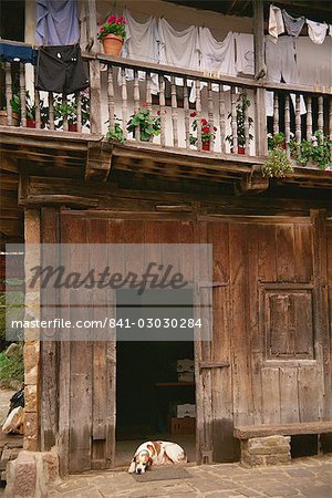 Gros plan d'une porte en bois avec un fer à cheval chanceux et un chien qui dort sur le seuil d'une maison, dans les Picos de Europa, Cantabrie, Espagne, Europe