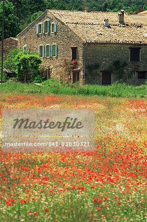 Farmhouse near Gordes, Vaucluse, Provence, France, Europe