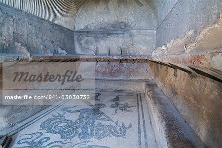 Bath house mosaic from Herculaneum, a large Roman town destroyed in 79AD by a volcanic eruption from Mount Vesuvius, UNESCO World Heritage Site, near Naples, Campania, Italy, Europe