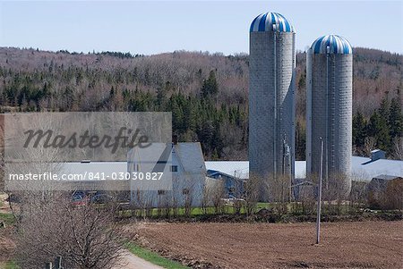 Bauernhof, Cape Breton, Nova Scotia, Kanada, Nordamerika
