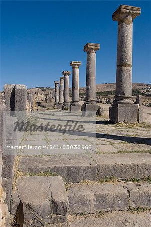 Decumanus Maximus (main east west road), Roman site of Volubilis, UNESCO World Heritage Site, Morocco, North Africa, Africa
