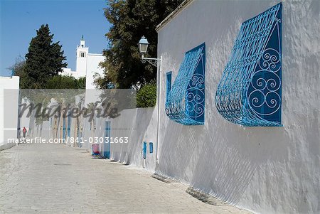 Sidi Bou Said, Tunisia, North Africa, Africa Sidi Bou Said, Tunisia, North Africa, Africa