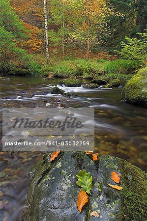 Autumn colours at Aira beck which flows from Aira force into Ullswater, Lake District National Park, Cumbria, England, United Kingdom, Europe