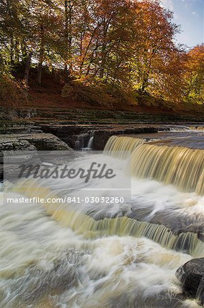 Lower Aysgarth Falls et couleurs d'automne près de Hawes, Wensleydale, Parc National de Yorkshire Dales, Noth Yorkshire, Yorkshire, Angleterre, Royaume-Uni, Europe