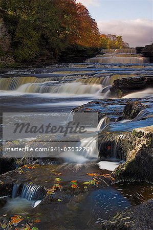 Lower Aysgarth Falls et couleurs d'automne près de Hawes, Wensleydale, Parc National de Yorkshire Dales, Noth Yorkshire, Yorkshire, Angleterre, Royaume-Uni, Europe