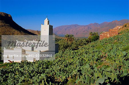 Emintizght village, Tafraoute, Morocco, North Africa