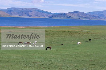 Lake Terkhiin Tsagaan Nuur, volcanic region of Khorgo, Arkhangai, Mongolia, Central Asia, Asia