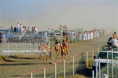 Camel race course, Mudaibi, Oman, Moyen-Orient