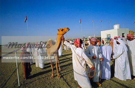 Camel race course,Mudaibi,Oman,Middle East