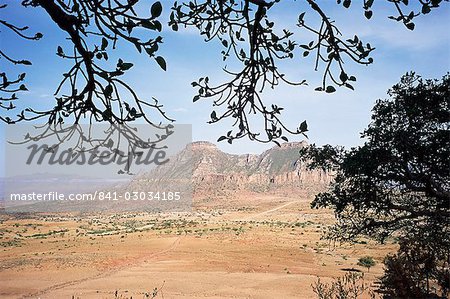On the slopes of Mount Workamba,Tambien region,Tigre province,Ethiopia,Africa On the slopes of Mount Workamba,Tambien region,Tigre province,Ethiopia,Africa