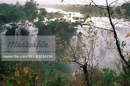 Chutes du Nil bleu, zone du lac Tana, Gondar, Éthiopie, Afrique Chutes du Nil bleu, zone du lac Tana, Gondar, Éthiopie, Afrique