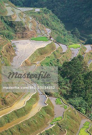 Banaue terraced rice fields,UNESCO World Heritage Site,northern area,island of Luzon,Philippines,Southeast Asia,Asia