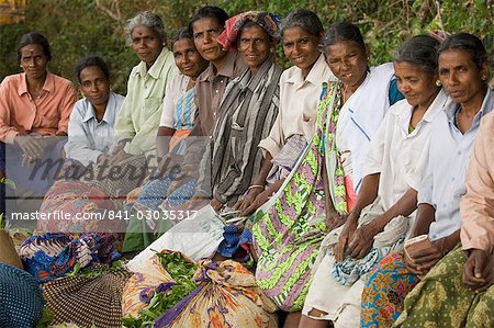 Tea Plantation Workers,Kerala,India