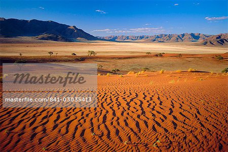 Namib Rand National Park,Namibia