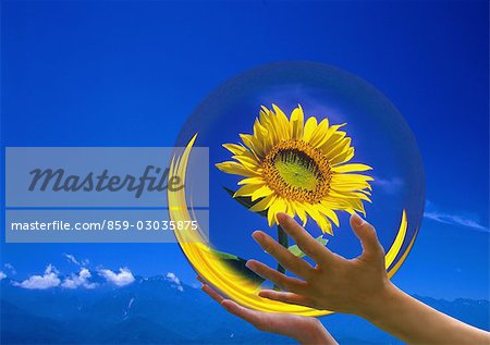 Mains tenant des fleurs dans la sphère