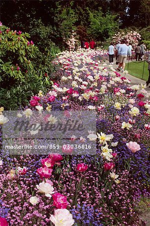 Long bed of purple,pink,and white flowers