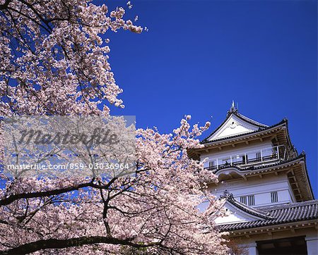 Odawara Castle Grounds,Kanagawa,Japan