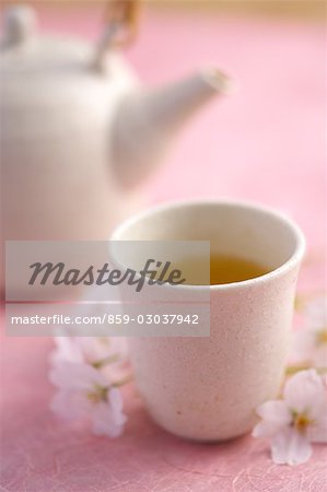 Thé japonais et fleurs de la cerise