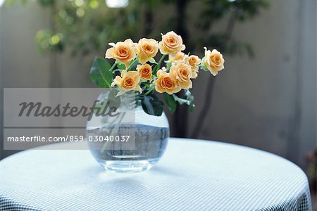 Roses in Vase of Water