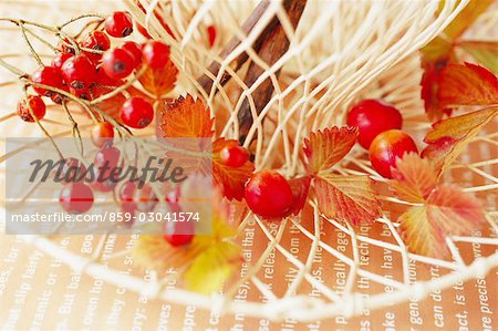 Feuilles et fruits rouges