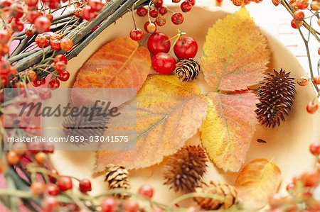 Berries And Autumn Leaves