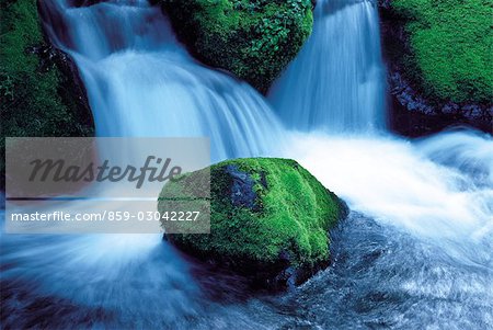 Chute d'eau en forêt