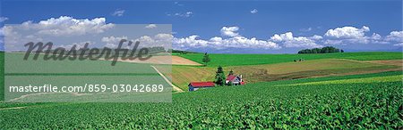 Bereich Landwirtschaft