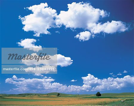 Plain with Clouds