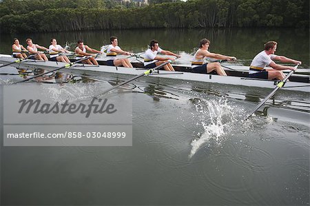 Rowers Rowing Hard