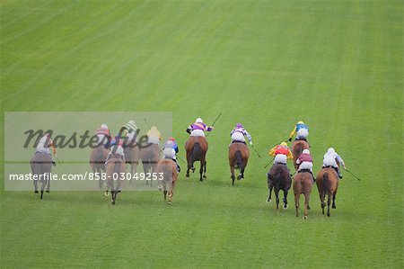 Course de chevaux