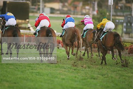 Group of horse racing in a horse race